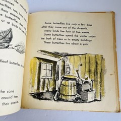 What Is A Butterfly Book 1958 Gene Darby What Is It Series Vintage MCM Science