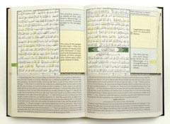 Tajweed Quran & Memorizing Arabic and English Language
