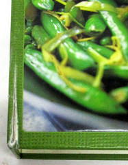 Williams-Sonoma THE WEEKNIGHT COOK 2009 Oxmoor House 432 Pages