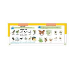 Альбом по развитию речи для детей 3-6 лет