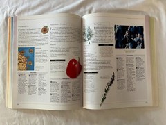 The Illustrated Encyclopedia of Healing Remedies, 496 pages, over 1000 remedies