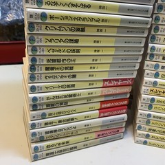 HAJIME KANZAKA – Lot Of 47 Vintage Japanese ‘90’s/early 2000’s Like Anime Manga
