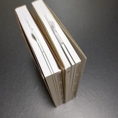 A Dictionary of Color Combinations Vol.1 & 2 Set Japanese Creative Color
