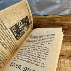 Stone Shadow Rex Miller Horror Paperbacks from Hell