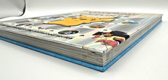 Pokemon Timelines: A Journey Through the Animated Series by Katherine Andreou