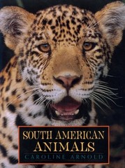South American Animals