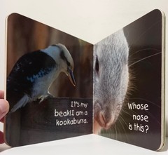 Whose Nose is this? – Board Book | Good Condition | Free Postage