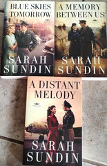Lot of 3 Complete WINGS OF GLORY Series Sarah Sundin Revell Trade Paperback