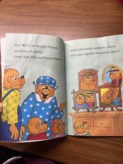 I Can Read Level 1 Ser.: The Berenstain Bears’ Family Reunion by Jan Berenstain
