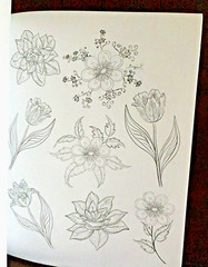 Adult Coloring Books Lot 4 Unused Nature Flowers Mandalas Stained Glass Karmin