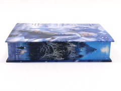 Dire Bound by Sable Sorensen FairyLoot Exclusive Edition – Hardcover Unsigned