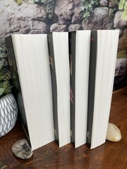 The Wicked Years Box Set 4 Books Gregory Maguire Oz Series Complete Readers Copy