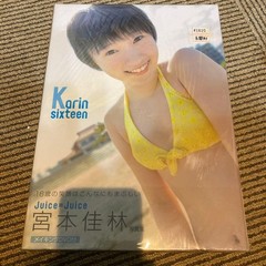 Karin sixteen Karin Miyamoto talent Photo Book unopened