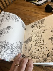 Inspire Bible Large Print NLT (Leatherlike, Multicolor. Check The Pictures