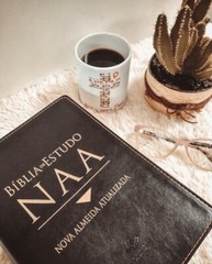 Bíblia de Estudo NAA Nova Almeida Atualizada preta nobre – portuguese ESV Bible