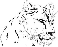 Best Lion Coloring Book save the Lions 108 Pages 8.5 x 11 for All Ages