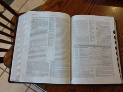 NASB Ryrie Study Bible~ Burgundy Genuine Leather ~Indexed Red letter