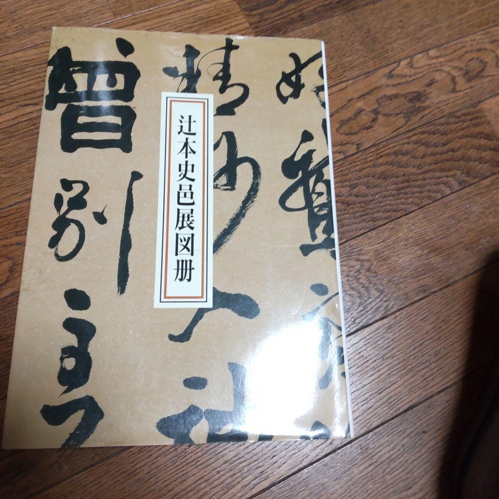 Tsujimoto Shimura Art Book 37cm x 27cm 246 Pages Limited Edition Exhibition
