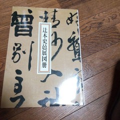 Tsujimoto Shimura Art Book 37cm x 27cm 246 Pages Limited Edition Exhibition