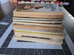 Assorted Vintage Lot of 8 Apple, Little Apple, & Avon Camelot Paperback Books