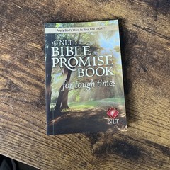 NLT Bible Promise Book for Tough Times by Ronald A. Beers (2011, Trade…