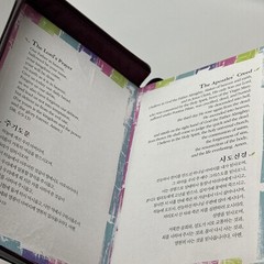 NIV Bible English/Korean Study Bible Brown Zipper-Red Letter Word of Life Press