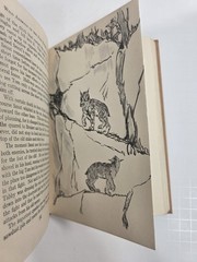 Wild Animals of the Five Rivers Country George Franklin 1947 Mary Ogden Abbott