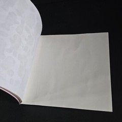 Lot Of 2 Strawberry Shortcake Books From 2010’s