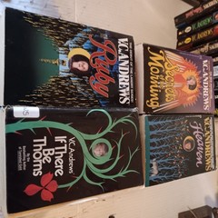 HUGE Lot 37 V.C. Andrews Used Paperback Books Includes several Keyhole Covers