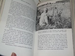 Dove Shooters Handbook – Dan M Russel – 255 Pages