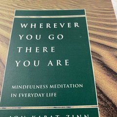 Wherever You Go There You Are Jon Kabat-Zinn Mindfulness Meditation Book Softcov