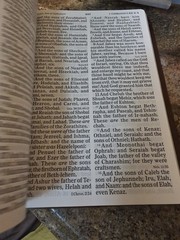 KJV Bible Large Super Giant Print Brown Leather-Touch Cover King James Version