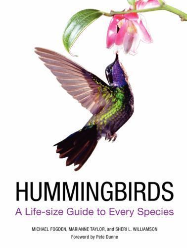 Hummingbirds: A Life-size Guide to Every Species, Fogden, Michael, Taylor, Maria