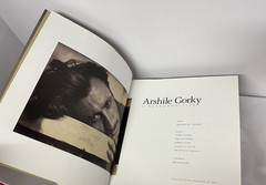 Arshile Gorky: A Retrospective, Michael R. Taylor, 2009 Soft Cover, Mint