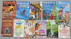 Huge Lot of 50 Chapter Books Bulk Wholesale Paperback Boys Girls Free Shipping