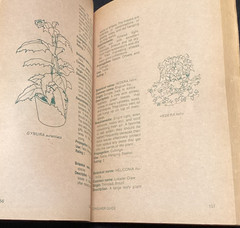 Consumer Guide Joy Indoor Plants Choosing Growing Caring 1975 Everything Need
