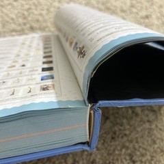 Animal Crossing: New Horizons Official Complete Guide Collectors Future Press