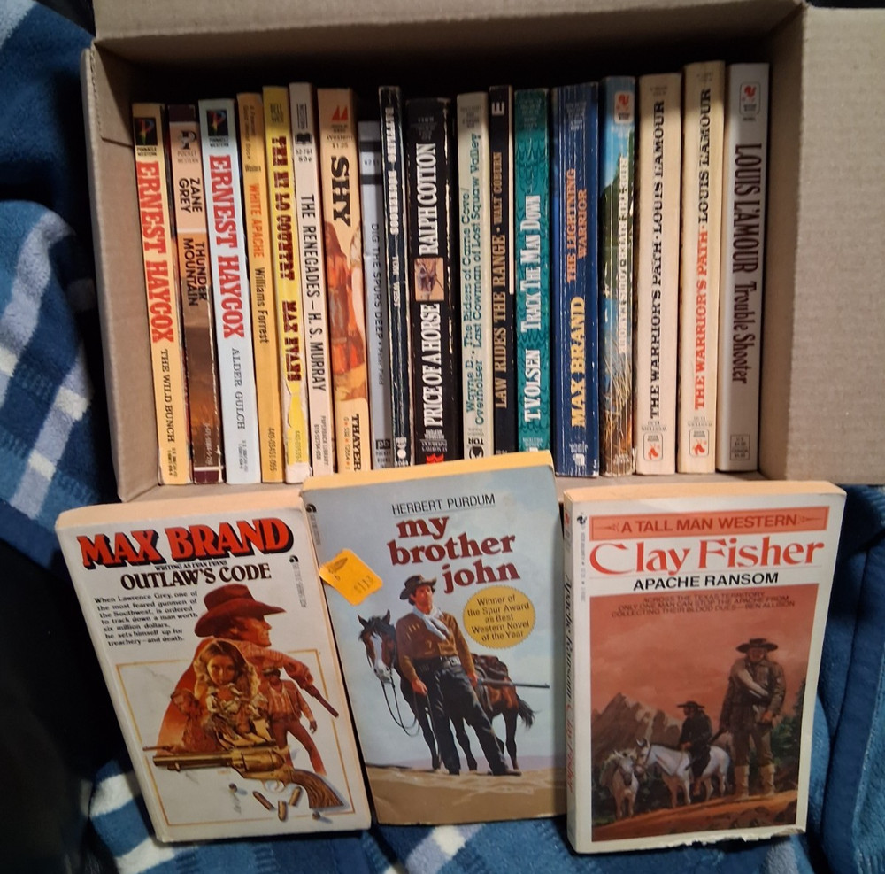 Western Book Lot (21) Zane Greg Ray Hogan Vintage BOX A