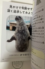 Motto Azatoku Jibun Rashiku Japanese Azarashi Seal Photo Essay Book Japan