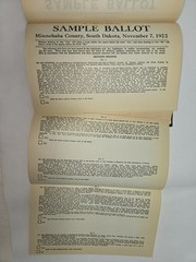 1930 Documents and Readings in American Government John Mathews Clarence Berdahl