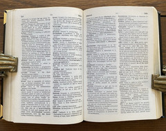 The New Little Oxford Dictionary Real Leather Made in England 1989