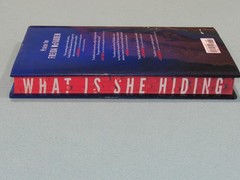 10 Book Lot: FREIDA MCFADDEN (Intruder~Tenant~Boyfriend~Teacher~Inmate~Housemaid