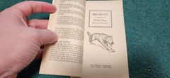 1973 BIG MUTT John Reese Illustrated Rod Ruth Archway Paperback