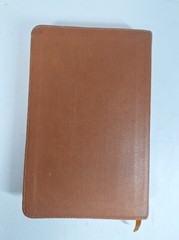 Holman Bible Christian Standard Version Children’s Lion King Cover Color Maps