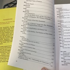 Foundations, Rabbi Baruch Adler. Machshava & Hashkafah Based On The Weekly Parsh
