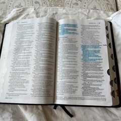 Amplified Bible – AMP, 2015 – Black Bonded Leather – Indexed Good Condition