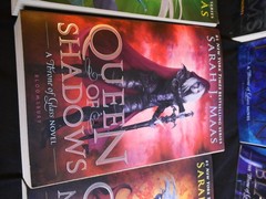 Sarah J. Maas Mixed Series Lot – A Throne of Glass, Crescent City, A Court of…
