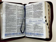 Word of Life NIV English-Korean Study Bible Leather Zippered