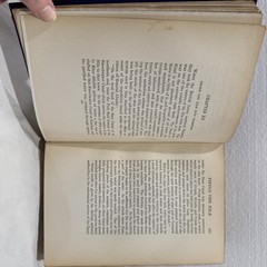 The New Palestine W.D McCrackan 1922 Antique Hardback First Edition