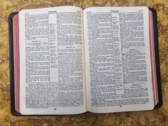 KJV Scofield Reference Bible Marrakesh Persian Morocco Leather VERY GOOD L@@K🌟